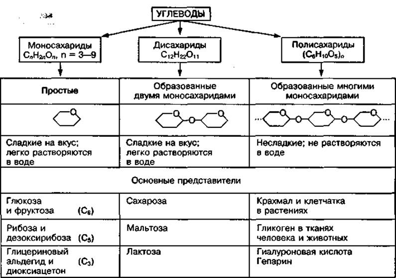 Дисахариды полисахариды. Классификация углеводов биохимия. Углеводы моносахариды дисахариды полисахариды. Характеристика классов углеводов. Классификация дисахаридов биохимия.