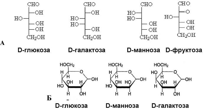 Составьте схему классификации веществ сахароза фруктоза глюкоза целлюлоза по известным вам